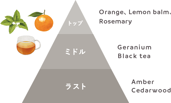 N organic FragranceのMorning CitrusのトップがOrange, Lemon balm, Rosemary、ミドルがGeranium Black tea、ラストがAmber Cedarwoodであることを説明している図