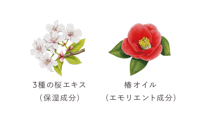 桜と椿の写真